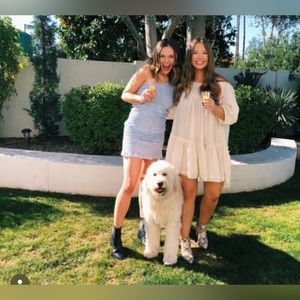 Blue Princess Polly Dress